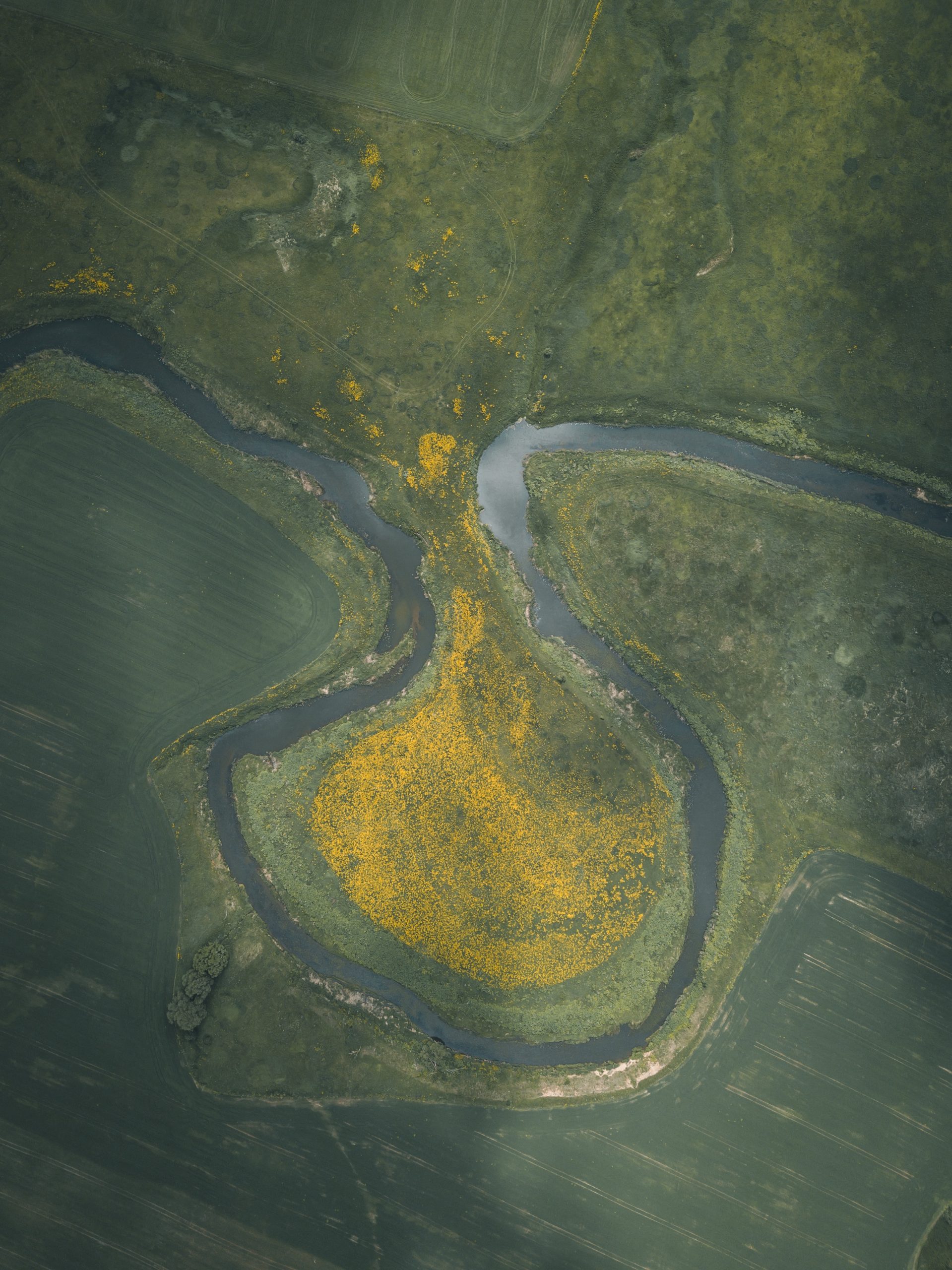 aerial view of green and yellow river